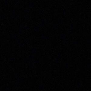 Meet your Posher, Riley